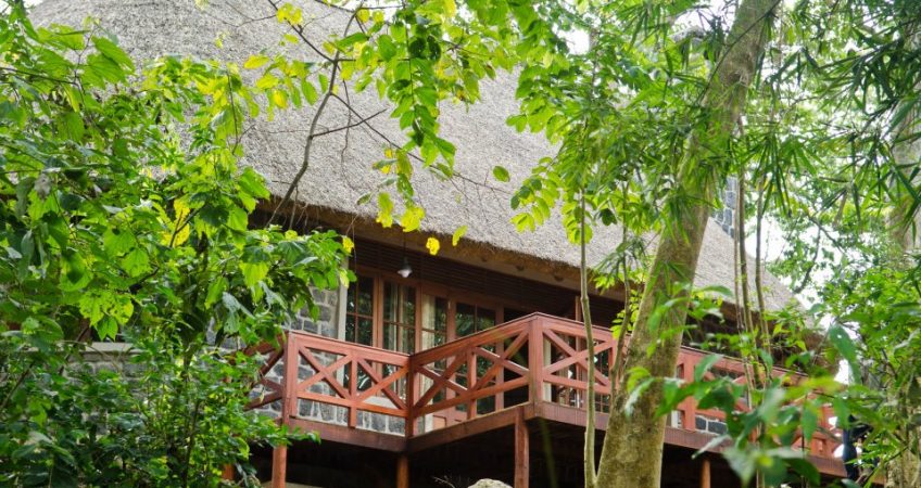 Mikeno Lodge View