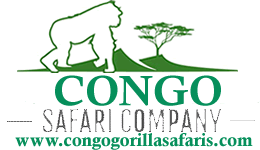 Congo Safari Company