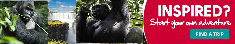 kahuzi inspire image