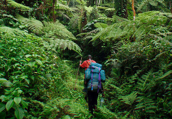 nature walks at kahuzi biega